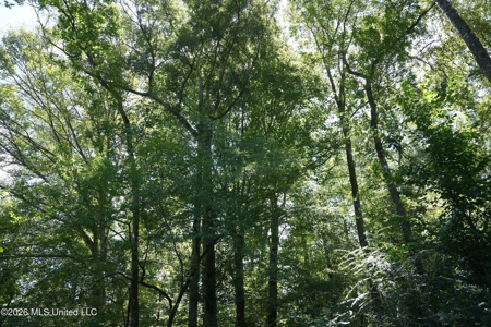 150 Acres for Sale in Magnolia MS on Tangipahoa River - image 33