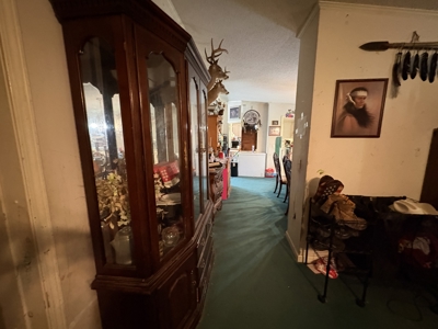 Country Home for Sale in Humphreys County, Tennessee - image 45