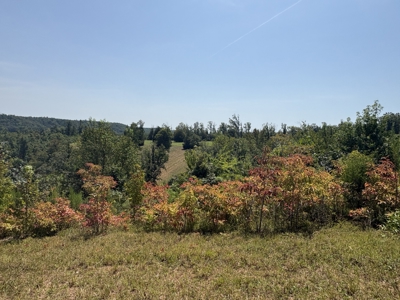Country Home for Sale in Humphreys County, Tennessee - image 32