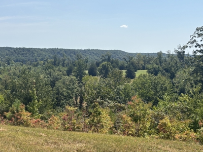 Country Home for Sale in Humphreys County, Tennessee - image 36