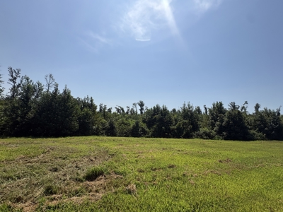 Country Home for Sale in Humphreys County, Tennessee - image 16