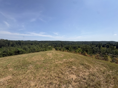 Country Home for Sale in Humphreys County, Tennessee - image 35
