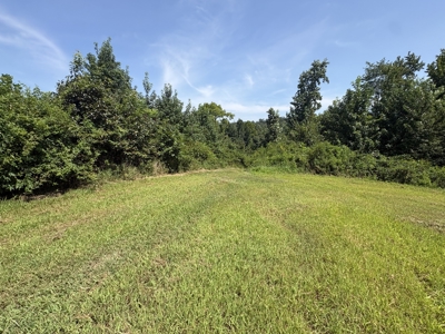 Country Home for Sale in Humphreys County, Tennessee - image 15