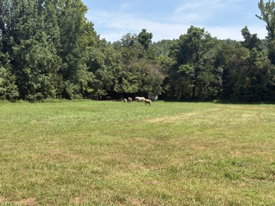Country Home for Sale in Humphreys County, Tennessee - image 10