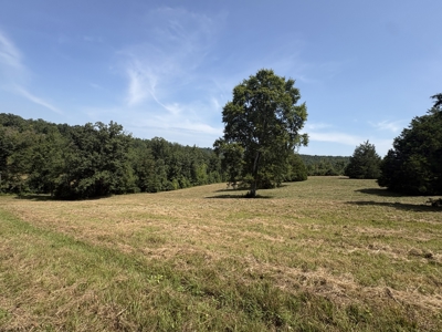 Country Home for Sale in Humphreys County, Tennessee - image 26
