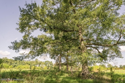 Listing 191