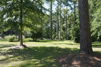 Listing 196