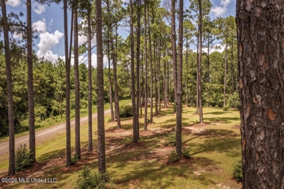 Listing 196