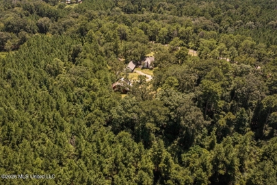 Listing 196