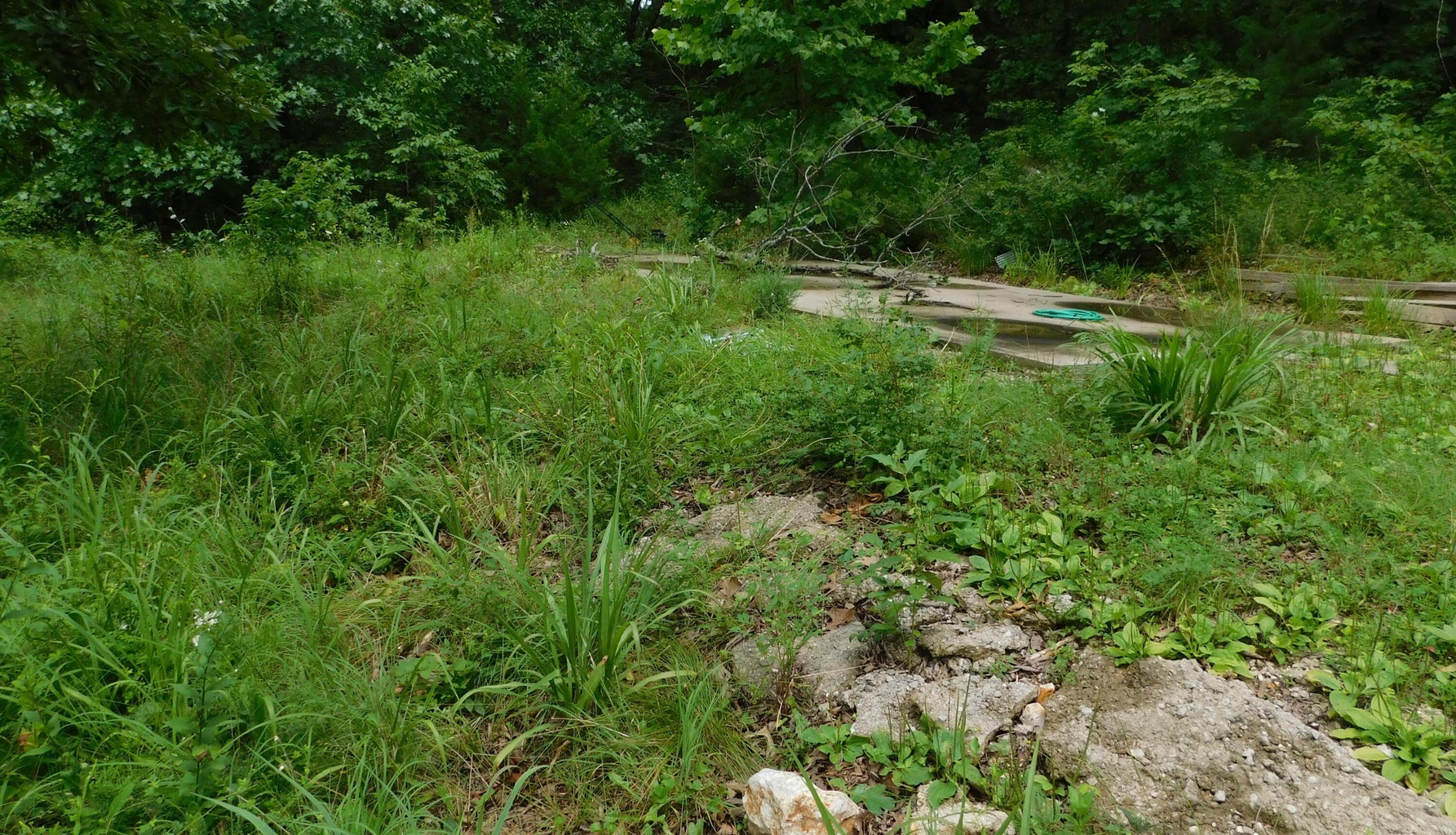 Open area near well and wet weather creek