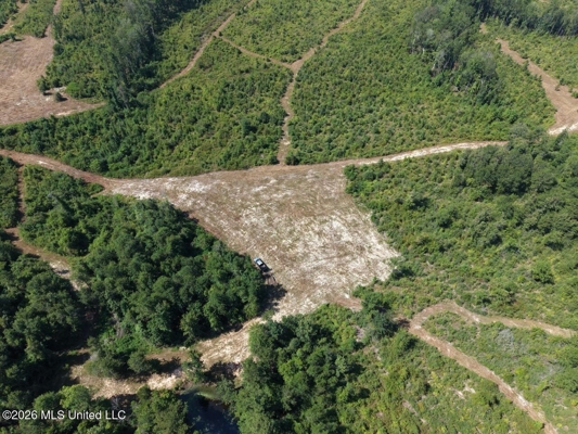 42± Acre Homesite & Hunting Land in Plainview, LA