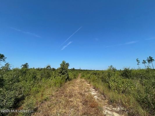 42± Acre Homesite & Hunting Land in Plainview, LA