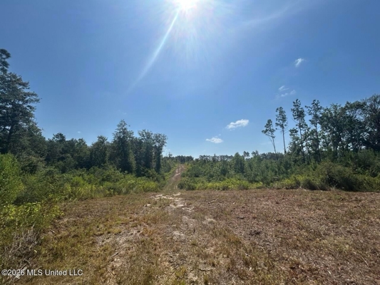 42± Acre Homesite & Hunting Land in Plainview, LA
