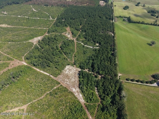 42± Acre Homesite & Hunting Land in Plainview, LA