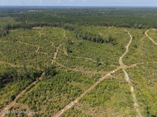 42± Acre Homesite & Hunting Land in Plainview, LA