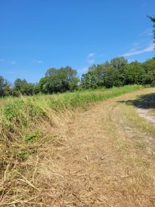 Open Country Acreage, Clarksville, TX, Red River Co, NE TX - image 9