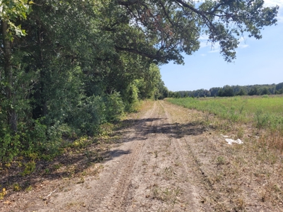 Open Country Acreage, Clarksville, TX, Red River Co, NE TX - image 10