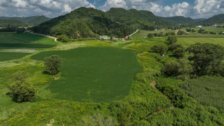 82.66 Acre Driftless Valley Farm with Trout Water Near Coon Valle - image 34
