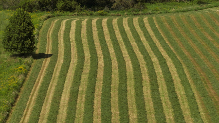 82.66 Acre Driftless Valley Farm with Trout Water Near Coon Valle - image 33