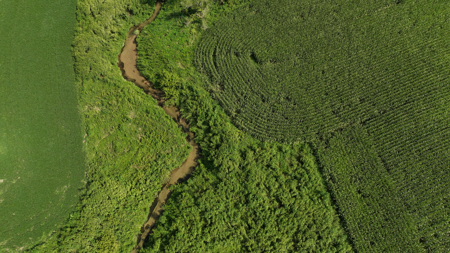 82.66 Acre Driftless Valley Farm with Trout Water Near Coon Valle - image 16