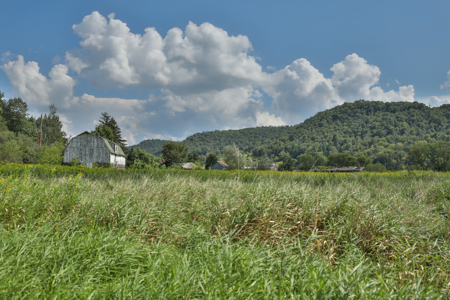82.66 Acre Driftless Valley Farm with Trout Water Near Coon Valle - image 30