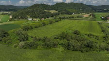 82.66 Acre Driftless Valley Farm with Trout Water Near Coon Valle - image 37