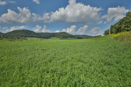 82.66 Acre Driftless Valley Farm with Trout Water Near Coon Valle - image 11
