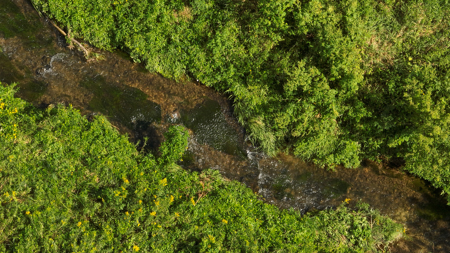 82.66 Acre Driftless Valley Farm with Trout Water Near Coon Valle - image 41