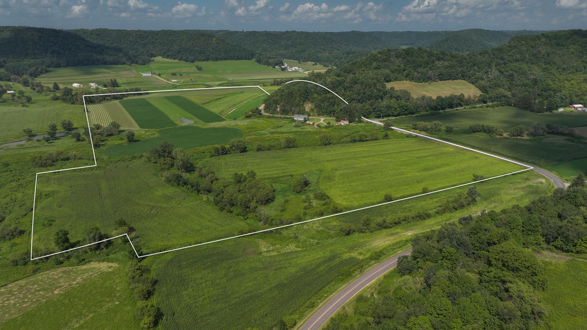 No Description