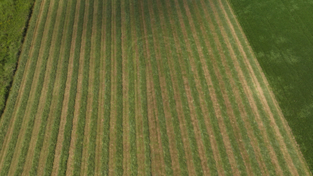82.66 Acre Driftless Valley Farm with Trout Water Near Coon Valle - image 17