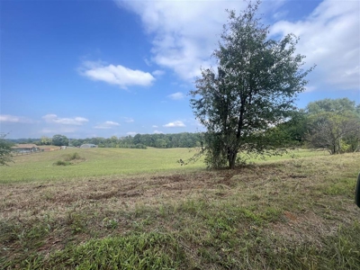 17.0 acre country lot suitable for building near Smiths Grove, Ky - image 19