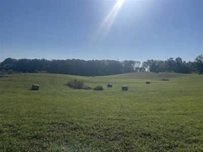 17.0 acre country lot suitable for building near Smiths Grove, Ky - image 6