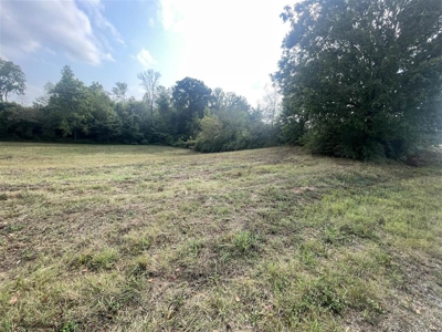 17.0 acre country lot suitable for building near Smiths Grove, Ky - image 17