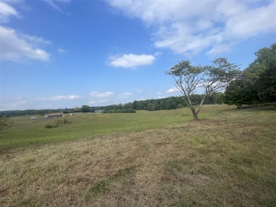 17.0 acre country lot suitable for building near Smiths Grove, Ky - image 18