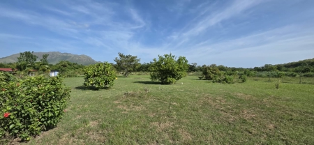 Titled Lot for Sale in El Mangote, Punta Chame | Main Road - image 13