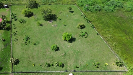 Titled Lot for Sale in El Mangote, Punta Chame | Main Road - image 7