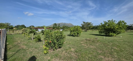 Titled Lot for Sale in El Mangote, Punta Chame | Main Road - image 15