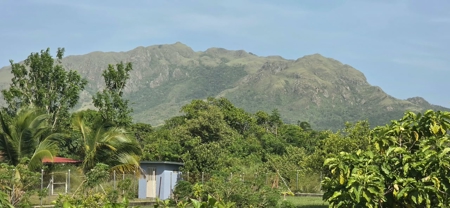 Titled Lot for Sale in El Mangote, Punta Chame | Main Road - image 9