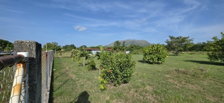 Titled Lot for Sale in El Mangote, Punta Chame | Main Road - image 16