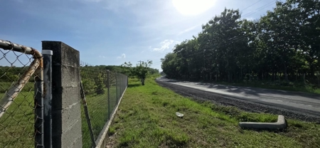 Titled Lot for Sale in El Mangote, Punta Chame | Main Road - image 11