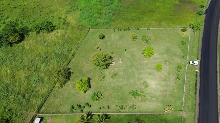 Titled Lot for Sale in El Mangote, Punta Chame | Main Road - image 2