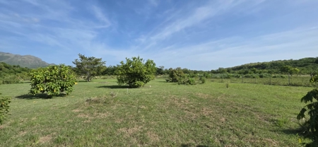 Titled Lot for Sale in El Mangote, Punta Chame | Main Road - image 14