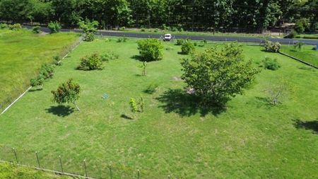 Titled Lot for Sale in El Mangote, Punta Chame | Main Road - image 5