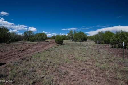 10 Acre Off-Grid Elk Country Ranch for Sale in Williams, Arizona - image 39