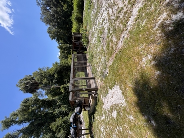 Listing 99