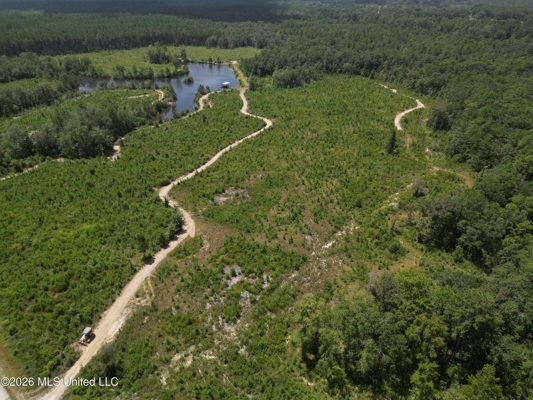 29± Acres with Fishing Pond in Jackson County, MS