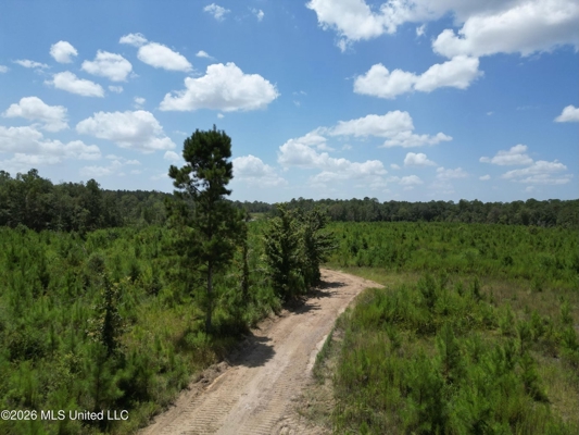29± Acres with Fishing Pond in Jackson County, MS