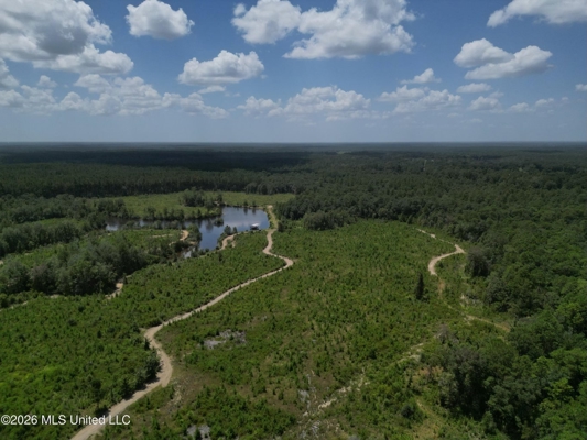 29± Acres with Fishing Pond in Jackson County, MS
