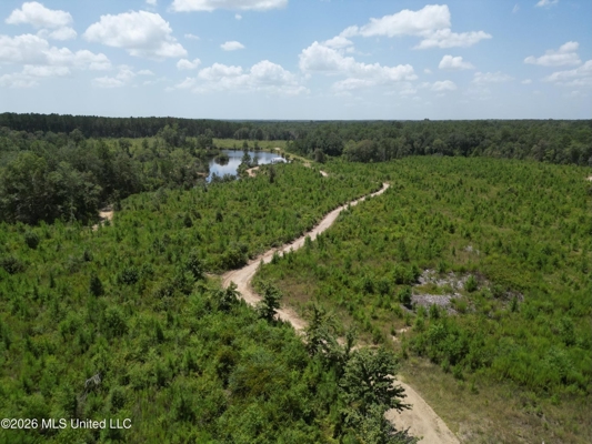29± Acres with Fishing Pond in Jackson County, MS