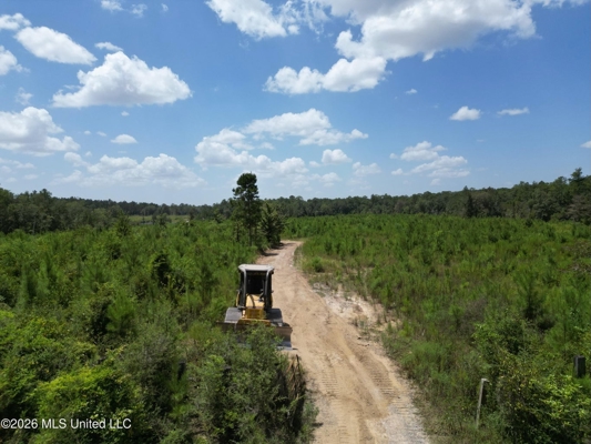 29± Acres with Fishing Pond in Jackson County, MS